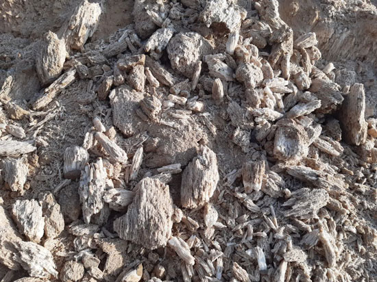 معدن سنگ گچ متین